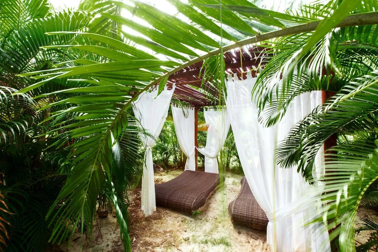 Resort Bavaro Deluxe Los Corales Villas Beach Club & Spa Good Offer For Vacation